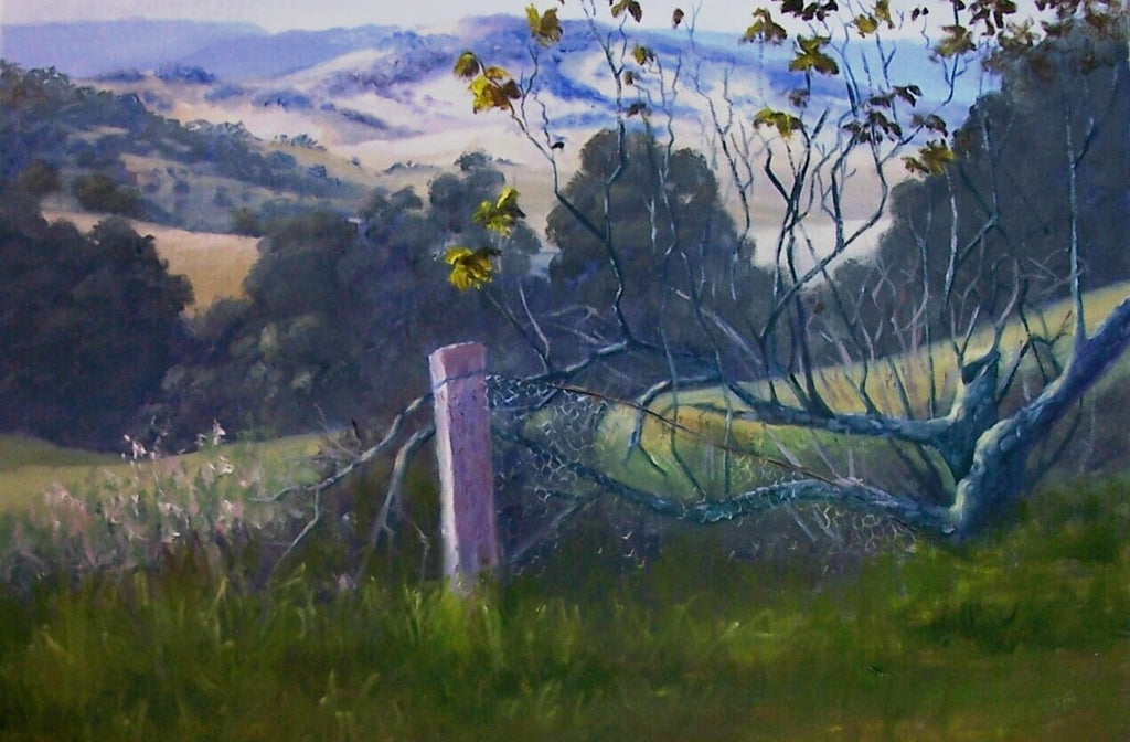 Survivor (old grape vine)